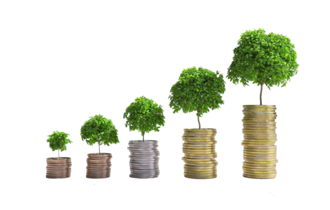 Money growth trees